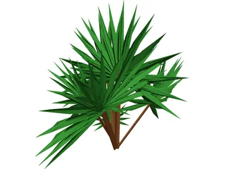 Palmetto Plant 3D Model