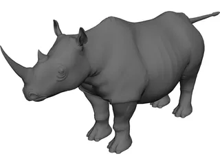 Rhino 3D Model