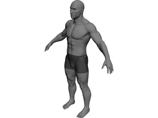 Male 3D Model