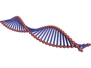 DNA Double Helix 3D Model