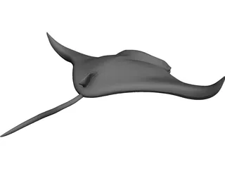 Manta Ray 3D Model