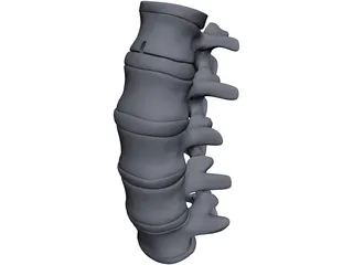 Lumbar Spine CAD 3D Model