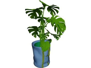 Monstera Deliciosa 3D Model