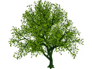 Lush Tree 3D Model
