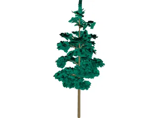 Redwood Tree 3D Model