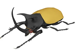 Beetle 3D Model