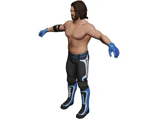 Aj Styles Fighter 3D Model