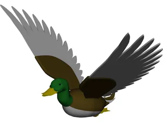 Duck Flying 3D Model 3D Preview