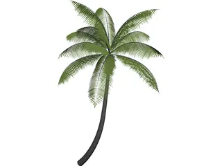 Palm 3D Model