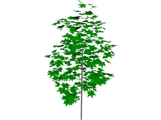 Tree 3D Model