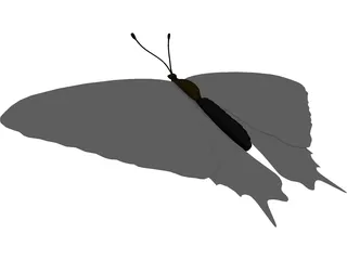Sallow Tail Butterfly 3D Model