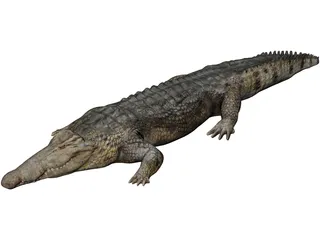 Crocodile 3D Model