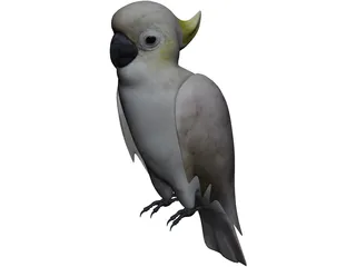 Parrot 3D Model