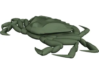 European Green Crab 3D Model