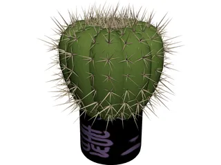 Cactus 3D Model