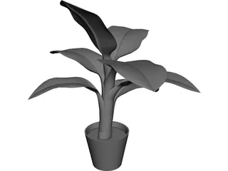 Banana Plant 3D Model