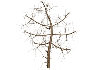 Tree 3D Model