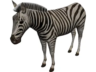 Zebra 3D Model