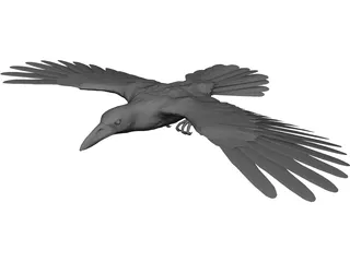 Raven 3D Model 3D Preview