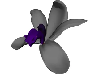 Orchid 3D Model