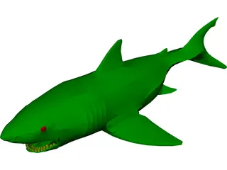 Shark 3D Model