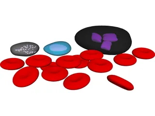 Blood Cells 3D Model