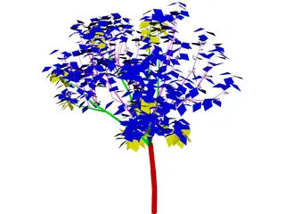 Apricot Tree 3D Model