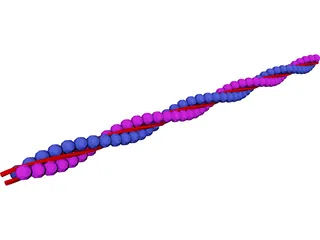 Actin DNA Strand 3D Model