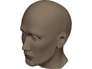 Head Male 3D Model