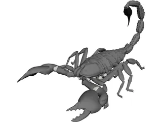 Scorpion (Arachnid Scorpionida) 3D Model