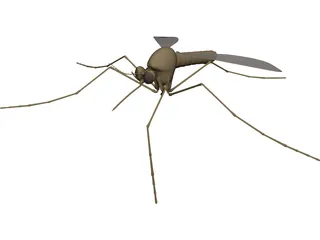 Mosquito 3D Model