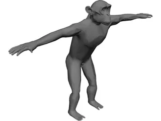 Chimpanzee 3D Model