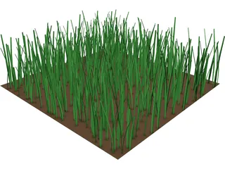 Grass 3D Model