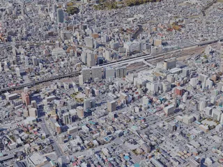 Utsunomiya City, Japan (2022) 3D Model