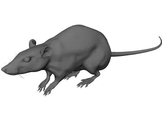 Rat House 3D Model 3D Preview