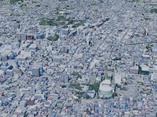 Matsumoto City, Japan (2025) 3D Model
