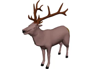 Deer 3D Model