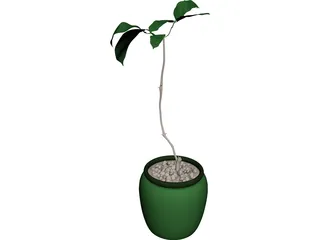 Plant 3D Model