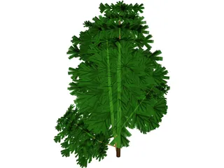 Juniper Bush 3D Model