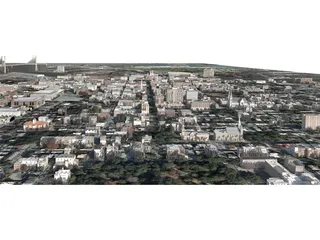 Savannah City 3D Model