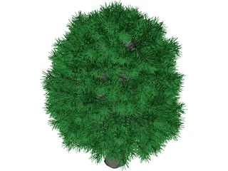 Tree 3D Model