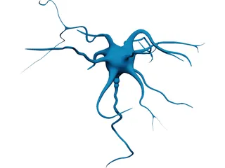 Neuron 3D Model