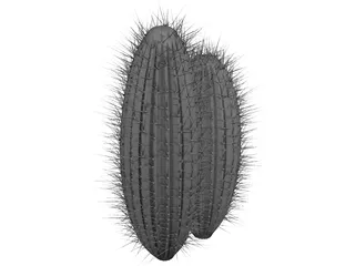 Cactus 3D Model