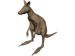 Kangaroo 3D Model
