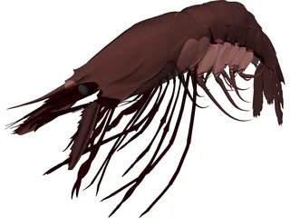 Large Red Prawn 3D Model