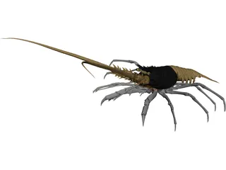 Lobster (Palinurus Elephas) 3D Model