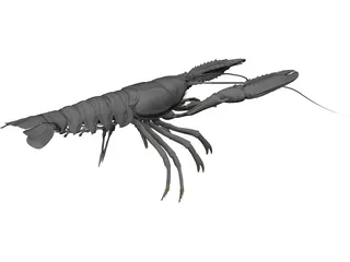 Lobster (Nephrops Norvegicus) 3D Model