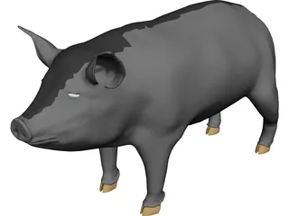 Pig 3D Model