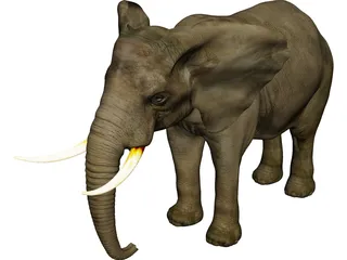 Elephant African Male 3D Model