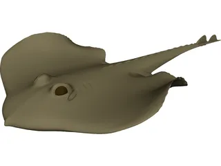 Devilfish 3D Model